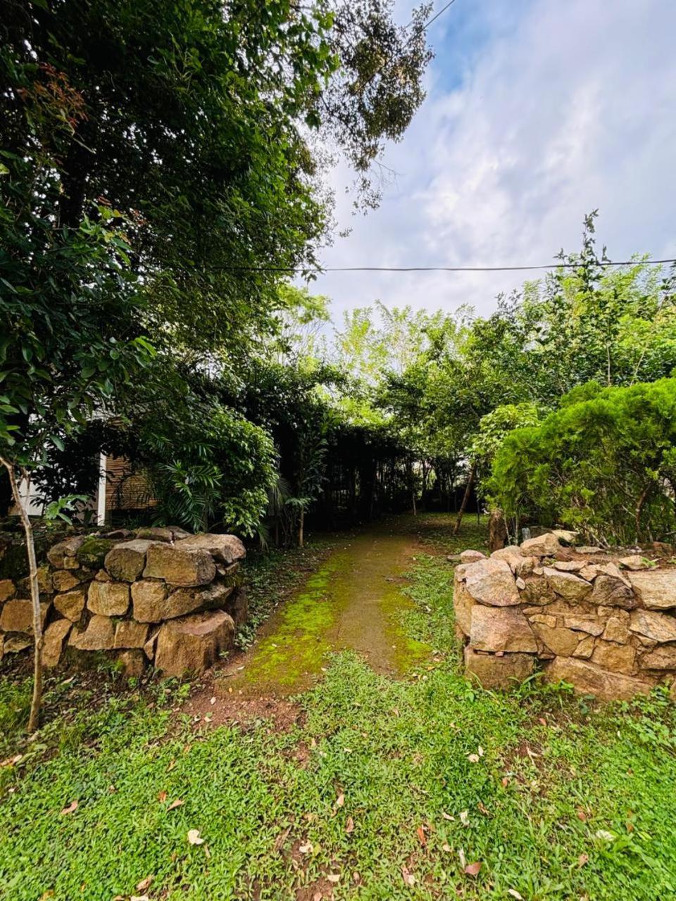 Woodholic Homestay Sigiriya Exterior photo